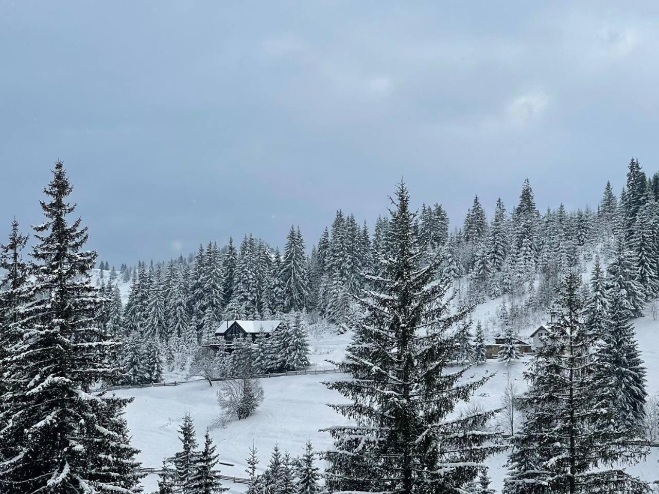 Kazka Aparthotel Yablunytsya Εξωτερικό φωτογραφία